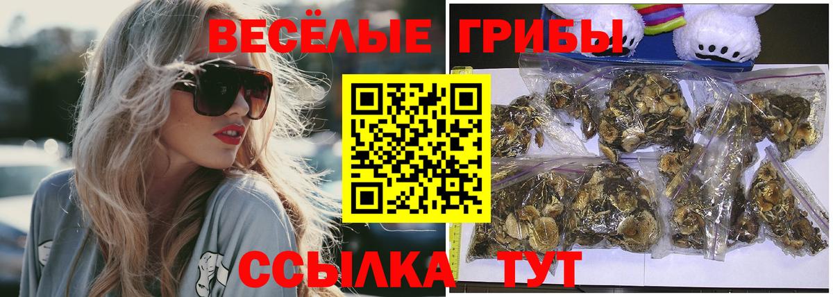 Курчалой  Псилоцибиновые грибы GOLDEN TEACHER  Галлюциногенные грибы мухоморы  купить наркотики цена  Вход с VPN 
