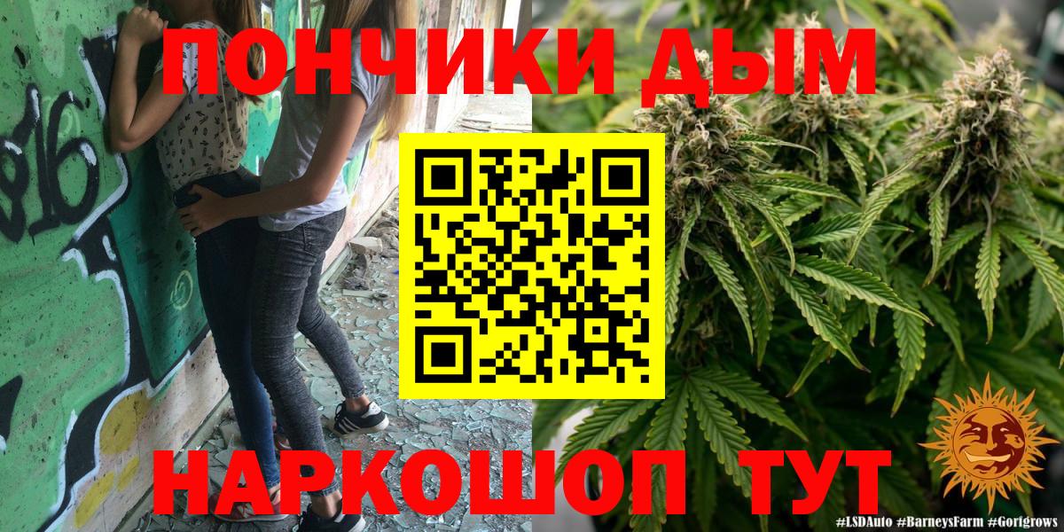 Шишки марихуана SATIVA & INDICA  Бошки марихуана план  Вход с VPN  Бошки Шишки гибрид  Курчалой  Шишки марихуана AK-47 